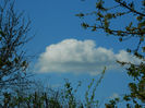 DSCN6826
