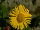 DSCN6829