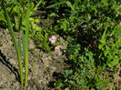 DSCN6839