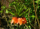 DSCN6840