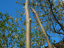 DSCN6843