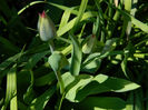 DSCN6861