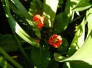 DSCN6886