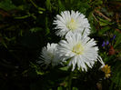 DSCN6734