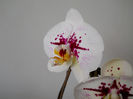 DSCN4019