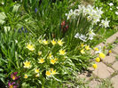 Spring colors (2013, April 17)