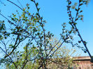 DSCN7005
