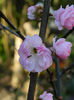 DSCN7011
