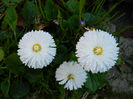 DSCN7017