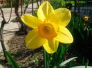 IMG_20130418_102116