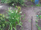 2013-04-15 16.03.15