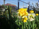 2013-04-18 09.57.29