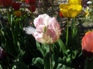 2013-04-18 09.58.10