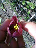Fotogr.0760