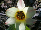 Fotogr.0768
