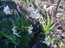 Fotogr.0771