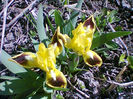 Fotogr.0774