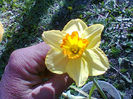 Fotogr.0777