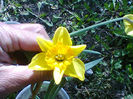 Fotogr.0778