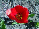 Fotogr.0785