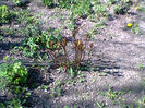 Fotogr.0798