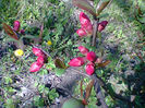 Fotogr.0799