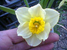 Fotogr.0812