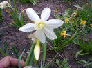 Fotogr.0820