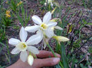 Fotogr.0821