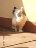DSCN0034