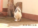 DSCN0055