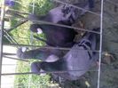 Pic_0610_456