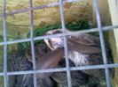 Pic_0610_457