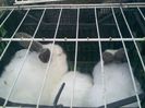 Pic_0610_494