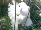 Pic_0610_503