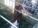 Pic_0610_504