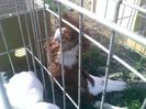 Pic_0610_509
