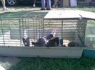 Pic_0610_524