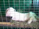 Pic_0610_525