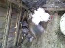 Pic_0610_537