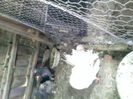 Pic_0610_538