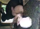 Pic_0610_568