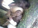 Pic_0610_571