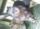 Pic_0610_572