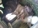 Pic_0610_573