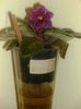 martie line wine 008