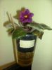 martie line wine 009