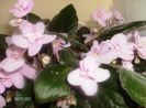 aprilie 065
