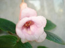 DSC06497
