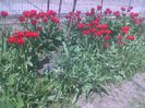 Imag0489